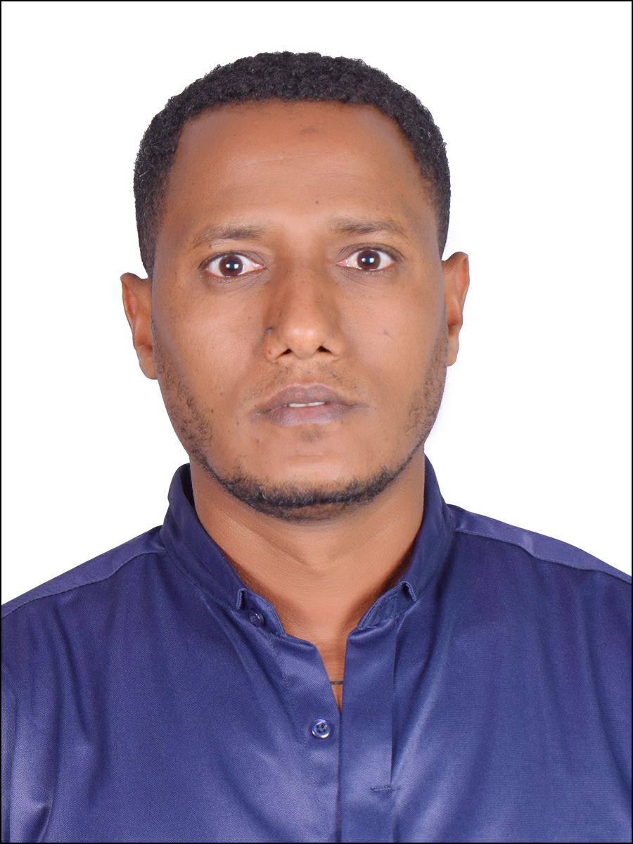 Haftamu - Full Stack Developer & Electrical Engineer